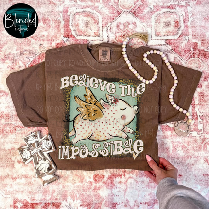 Believe The Impossible Flying Piggy DTF Transfer